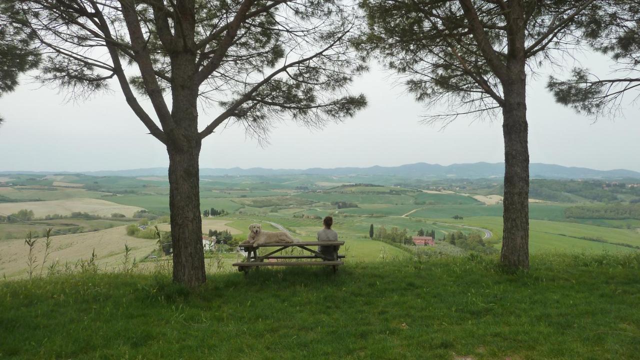 Ciglieri Santermo Casciana Terme Lari Pet&Bike Friendly Free Park Leilighet Eksteriør bilde