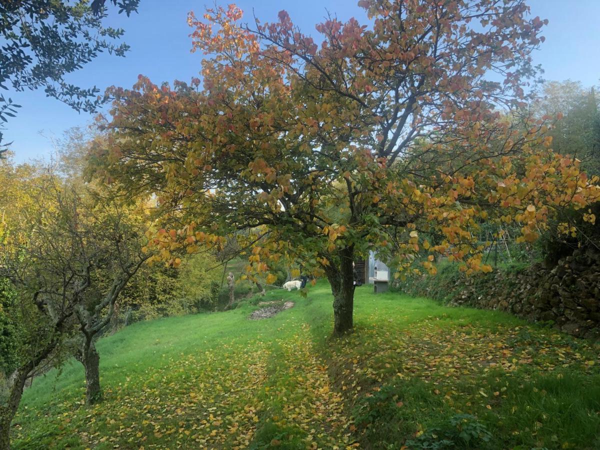 Ciglieri Santermo Casciana Terme Lari Pet&Bike Friendly Free Park Leilighet Eksteriør bilde