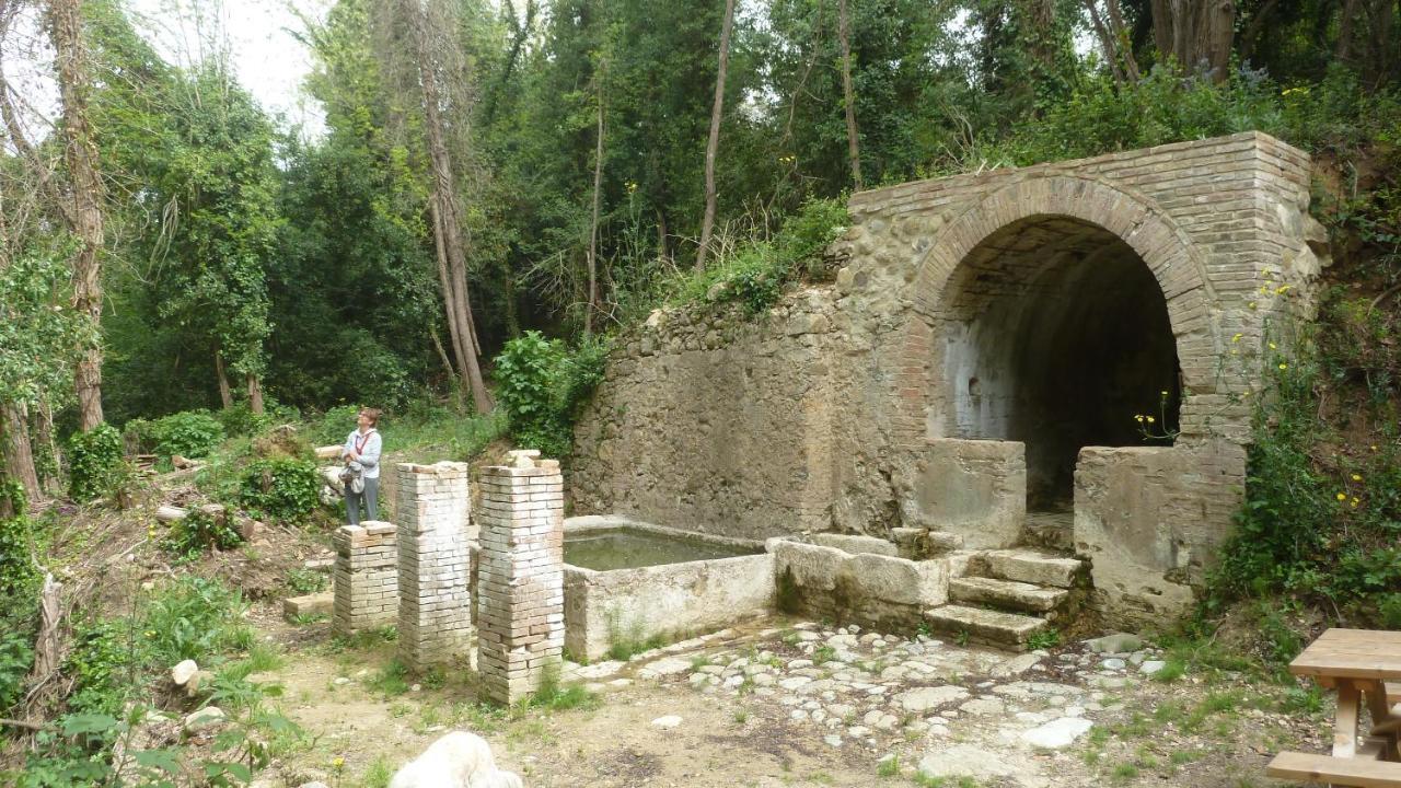 Ciglieri Santermo Casciana Terme Lari Pet&Bike Friendly Free Park Leilighet Eksteriør bilde