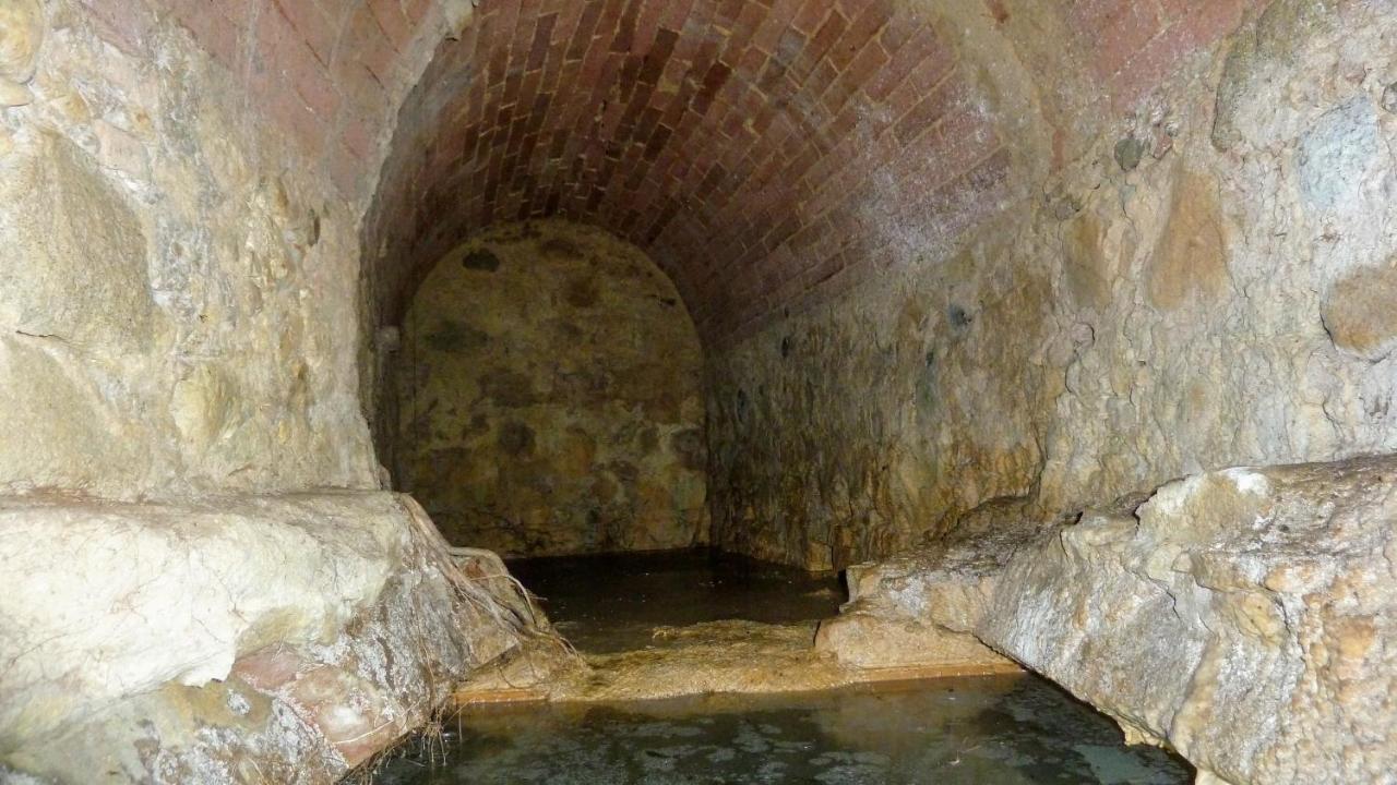 Ciglieri Santermo Casciana Terme Lari Pet&Bike Friendly Free Park Leilighet Eksteriør bilde