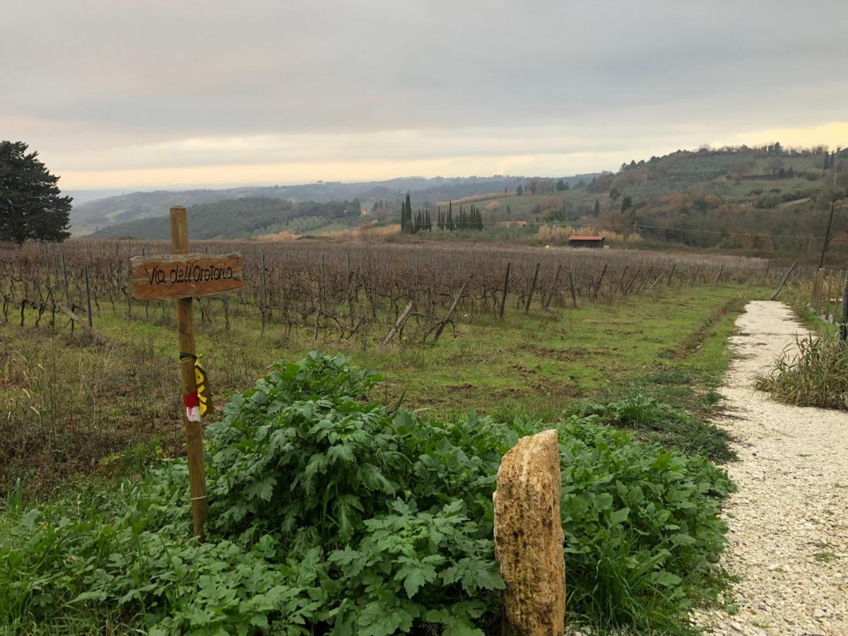 Ciglieri Santermo Casciana Terme Lari Pet&Bike Friendly Free Park Leilighet Eksteriør bilde