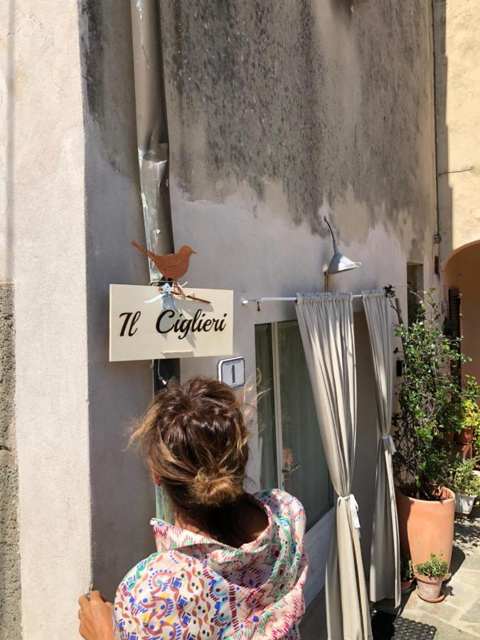 Ciglieri Santermo Casciana Terme Lari Pet&Bike Friendly Free Park Leilighet Eksteriør bilde